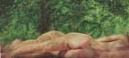 Jungle Nudes